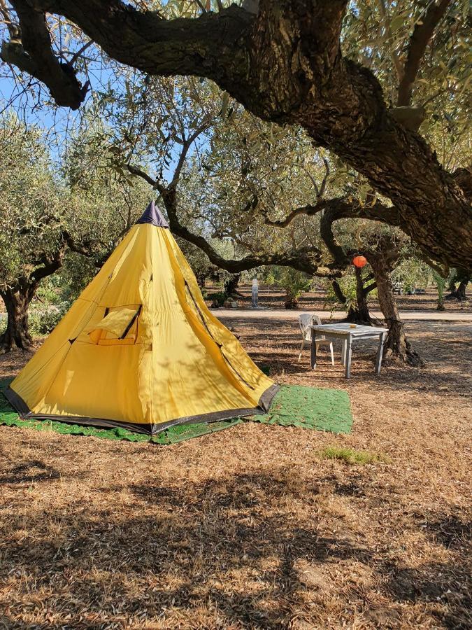 Camping A Selinunte Hotel มารีเนลลา ดี เซลีนุนเต ภายนอก รูปภาพ