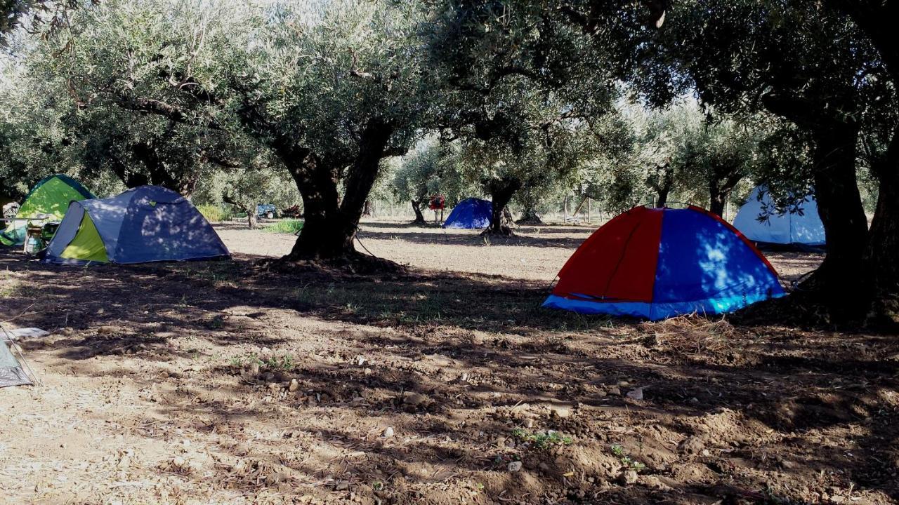 Camping A Selinunte Hotel มารีเนลลา ดี เซลีนุนเต ภายนอก รูปภาพ